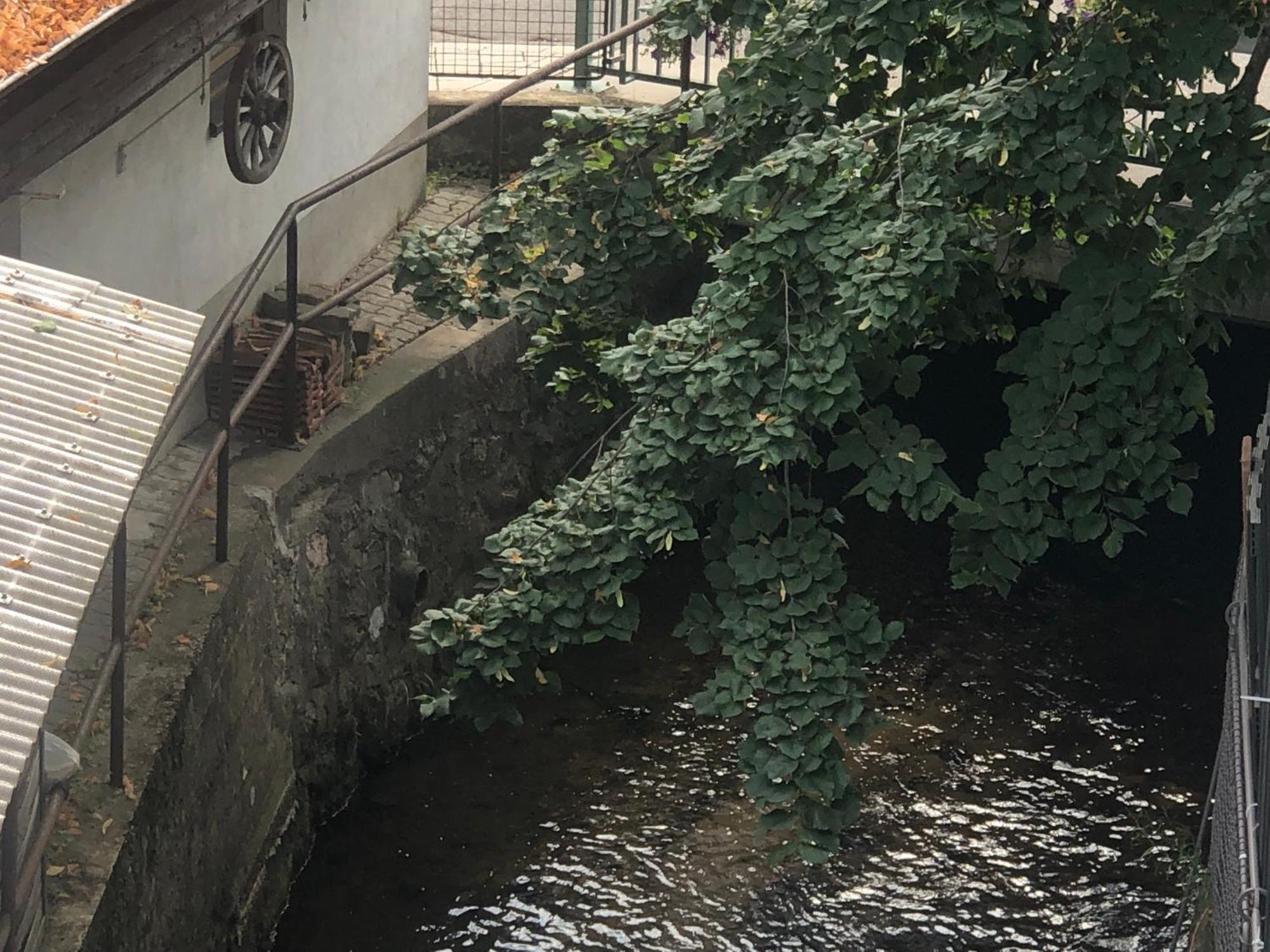 Linde Oberachern Oda fotoğraf